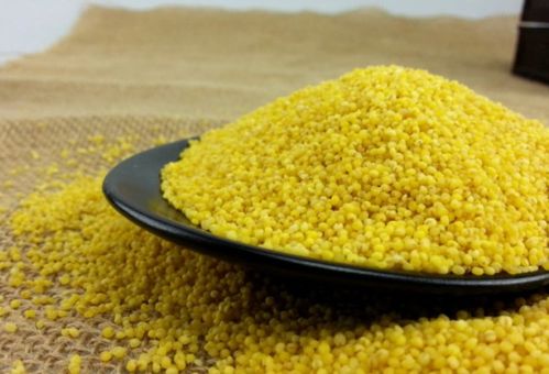 有包裝的小米過了保質期，還能吃嗎？雜糧儲存與安全食用指南